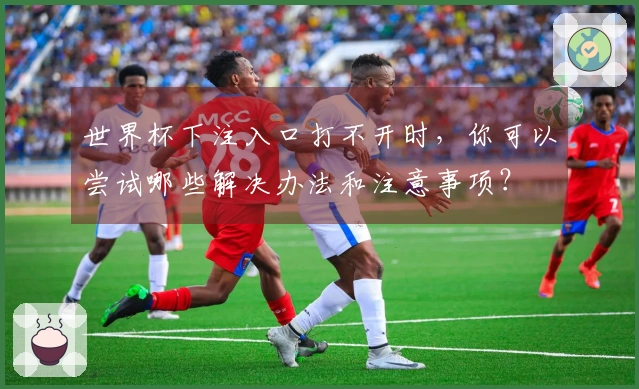 世界杯下注入口打不开时，你可以尝试哪些解决办法和注意事项？