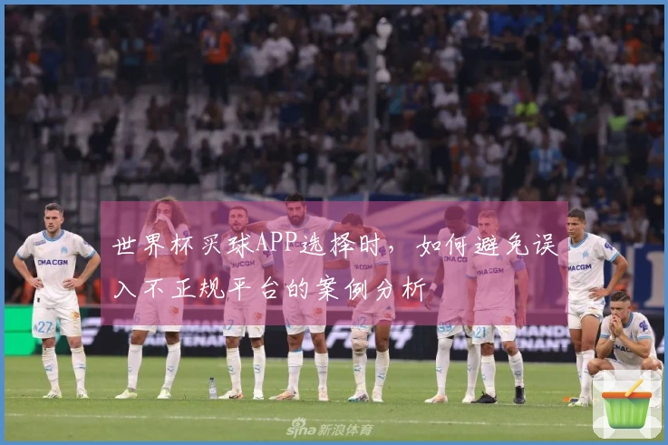 世界杯买球APP选择时，如何避免误入不正规平台的案例分析