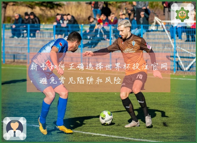 新手如何正确选择世界杯投注官网，避免常见陷阱和风险