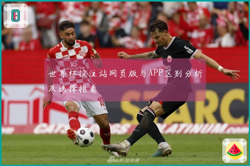 世界杯投注站网页版与APP区别分析及选择指南