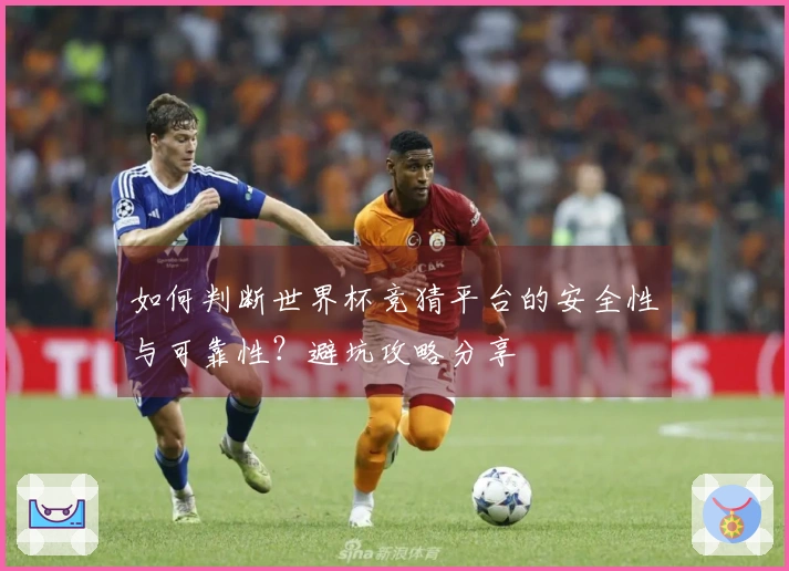 如何判断世界杯竞猜平台的安全性与可靠性？避坑攻略分享