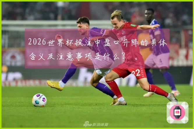2026世界杯投注中盘口升降的具体含义及注意事项是什么?
