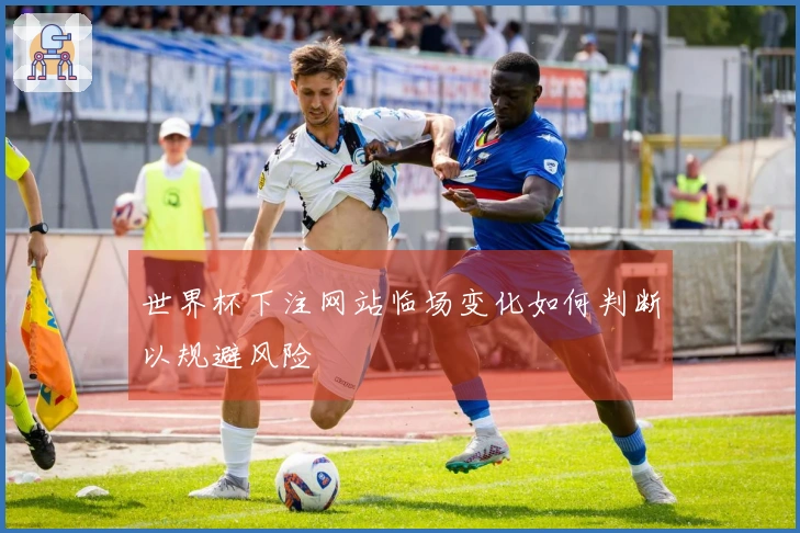 世界杯下注网站临场变化如何判断以规避风险