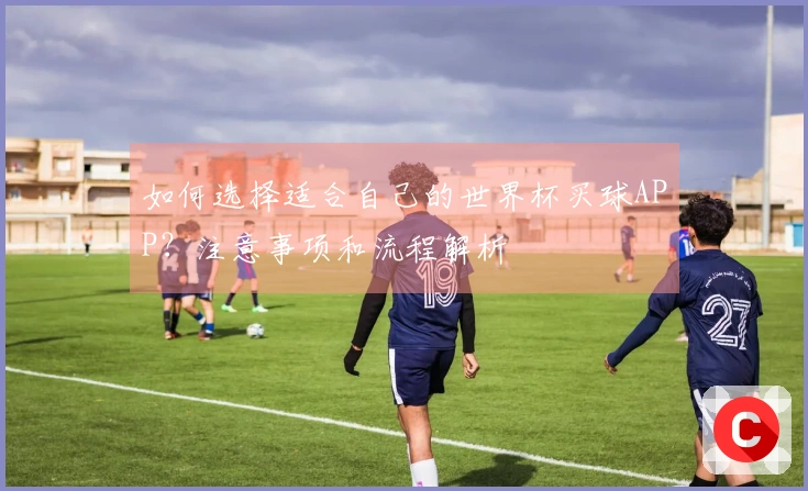 如何选择适合自己的世界杯买球APP？注意事项和流程解析