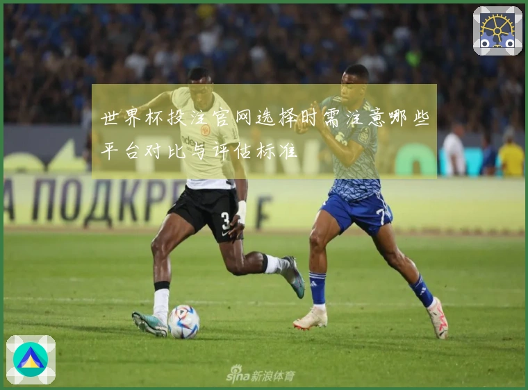 世界杯投注官网选择时需注意哪些平台对比与评估标准