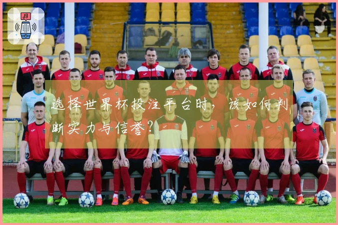 选择世界杯投注平台时，该如何判断实力与信誉？