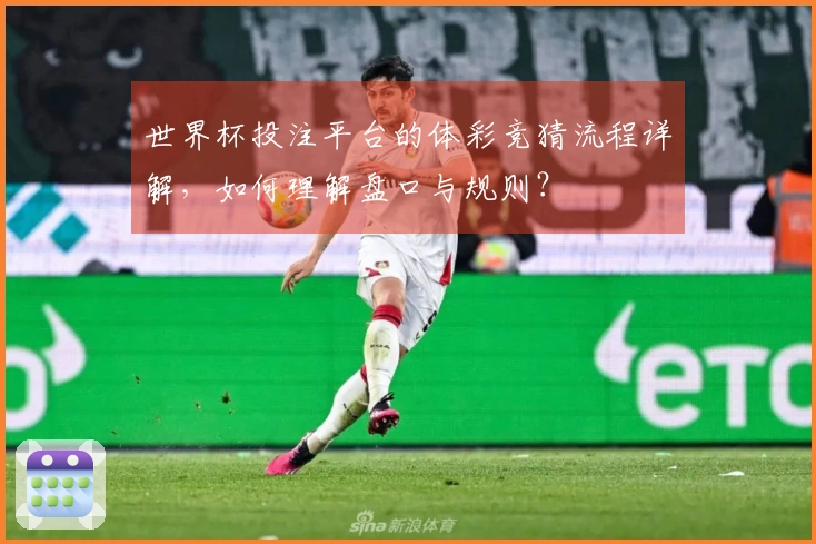 世界杯投注平台的体彩竞猜流程详解，如何理解盘口与规则？