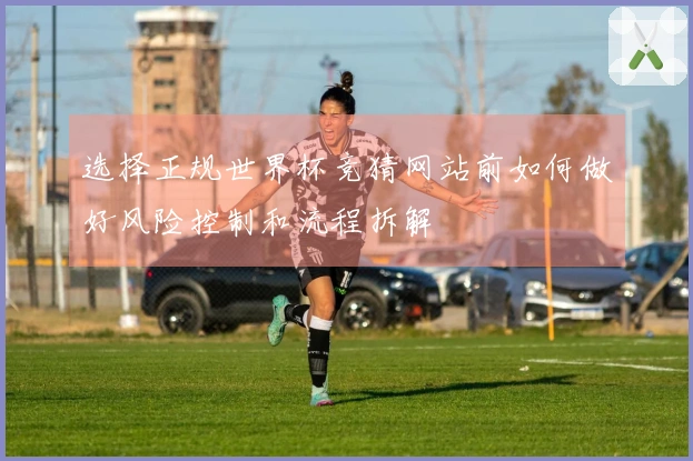 选择正规世界杯竞猜网站前如何做好风险控制和流程拆解