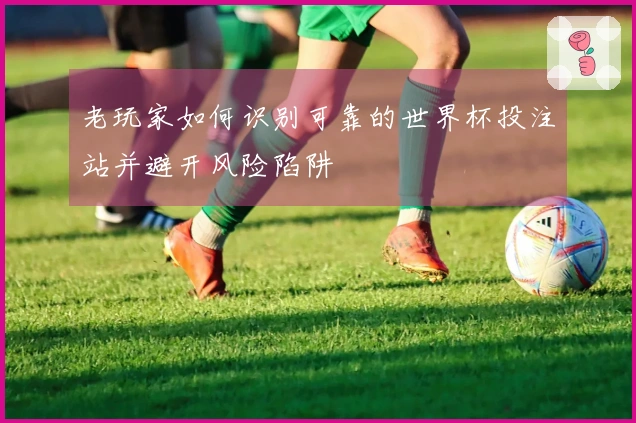 老玩家如何识别可靠的世界杯投注站并避开风险陷阱