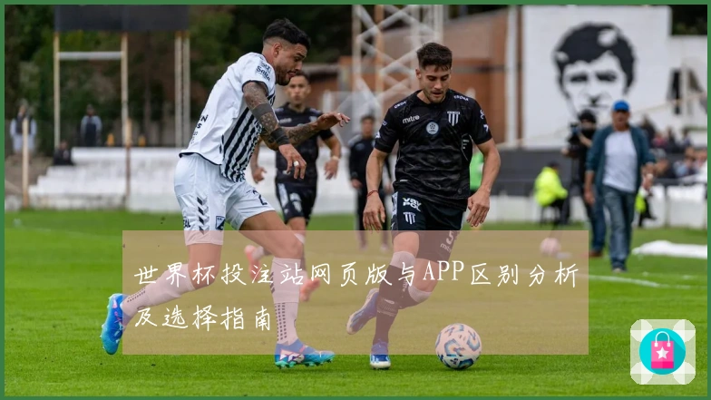 世界杯投注站网页版与APP区别分析及选择指南