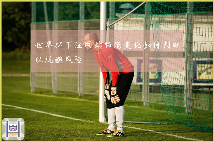 世界杯下注网站临场变化如何判断以规避风险