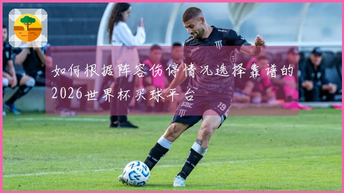 如何根据阵容伤停情况选择靠谱的2026世界杯买球平台